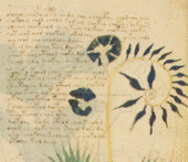 Darstellung aus dem Manuscript